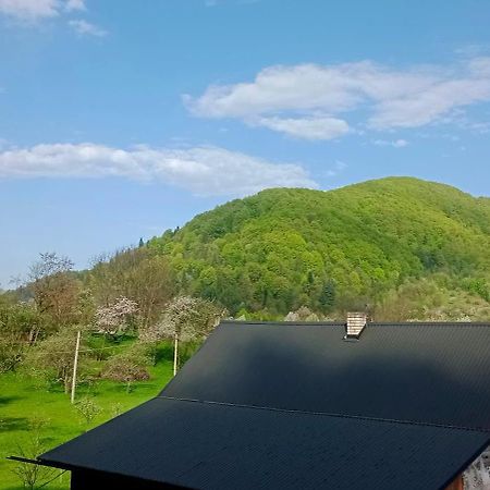 Villa Під Горою Sheshory Exterior foto