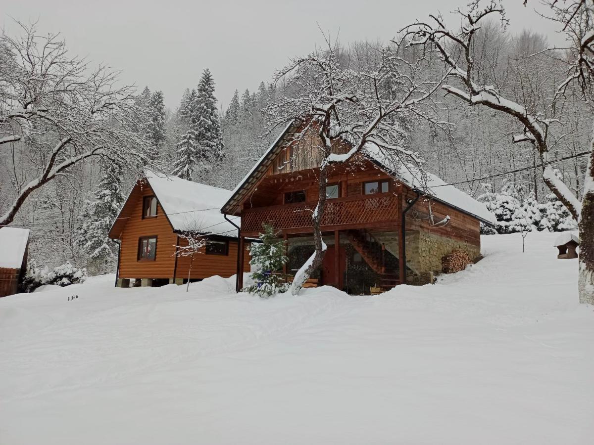 Villa Під Горою Sheshory Exterior foto
